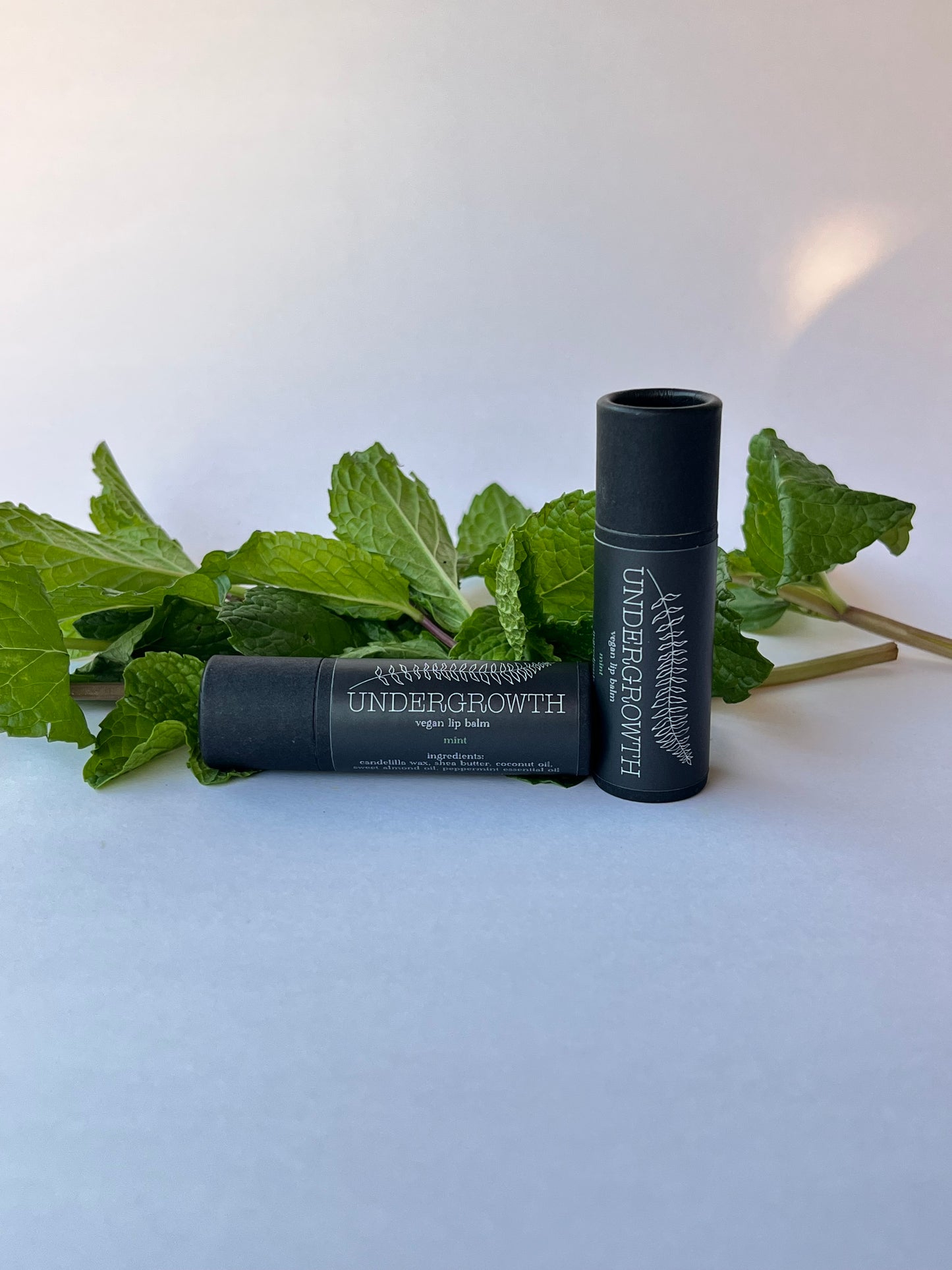 Mint Lip Balm