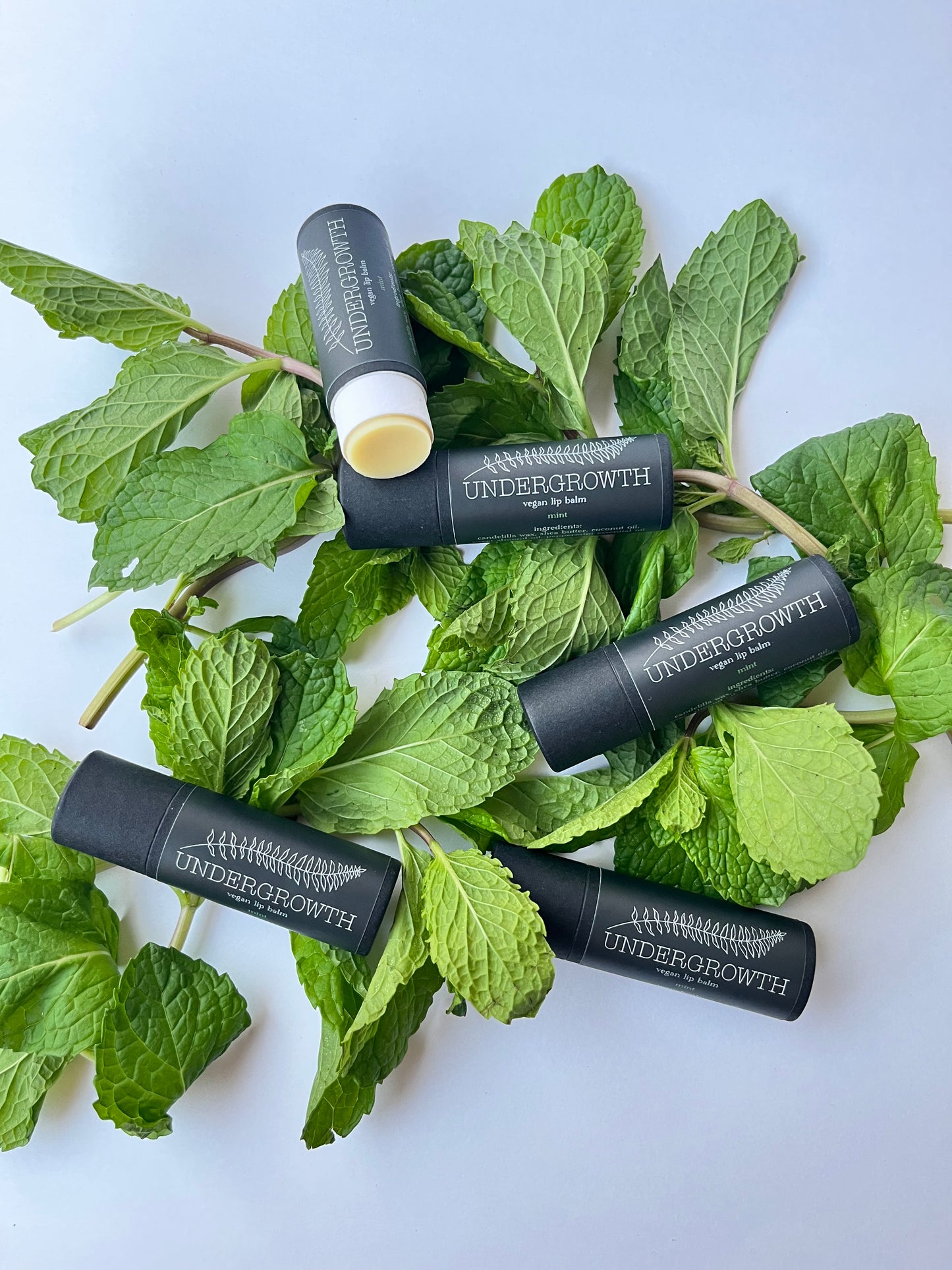 Mint Lip Balm